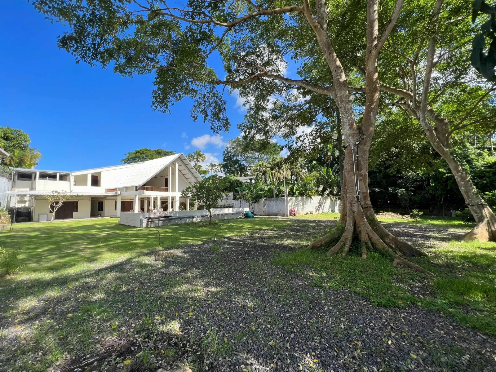 PRIME FREEHOLD OPPORTUNITY IN NELAYAN, CANGGU – STEPS FROM THE BEACH